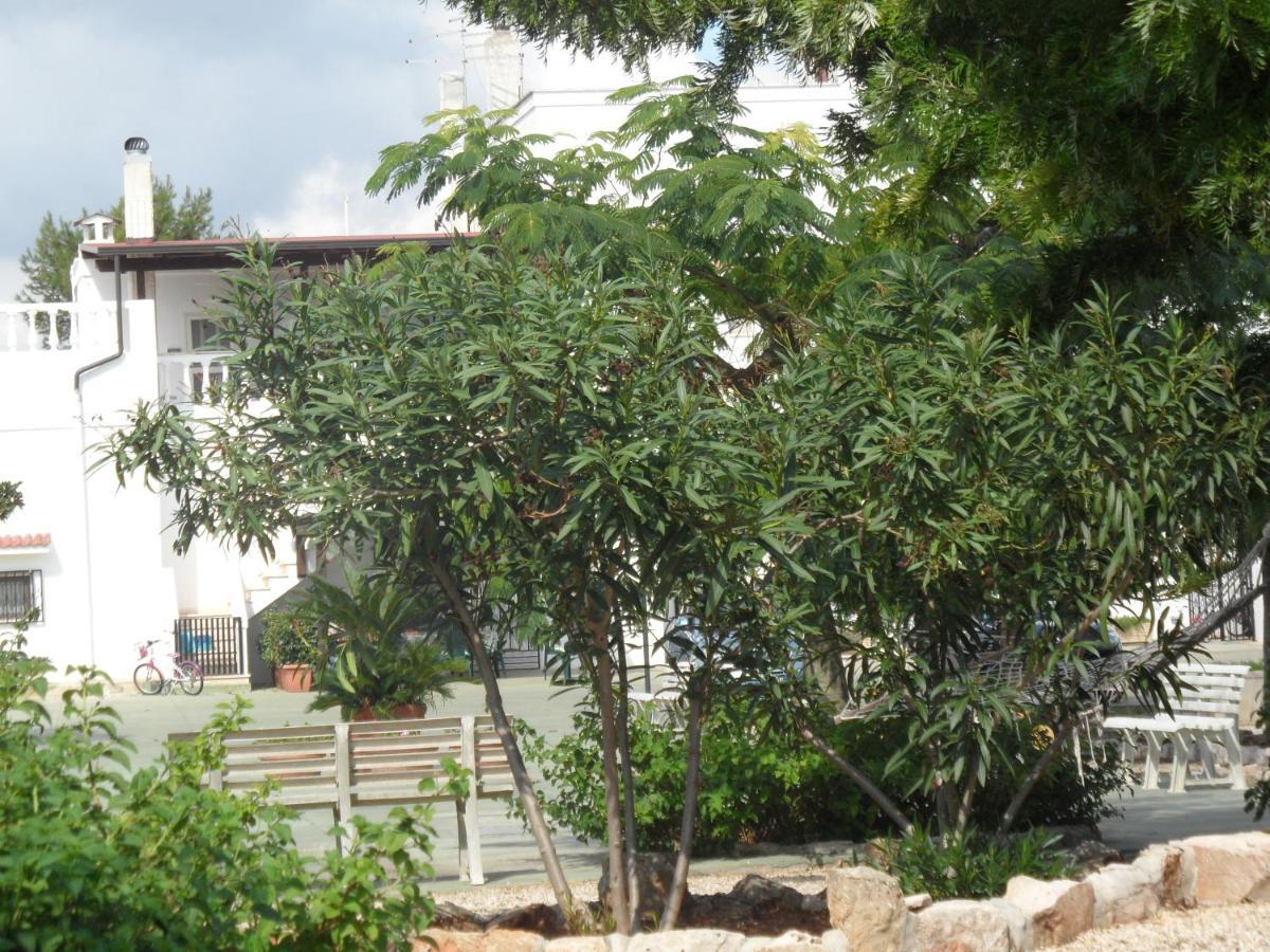 Azienda Agrituristica Masseria Campi San Vito dei Normanni Εξωτερικό φωτογραφία