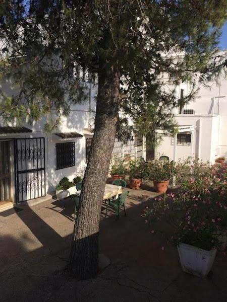 Azienda Agrituristica Masseria Campi San Vito dei Normanni Εξωτερικό φωτογραφία